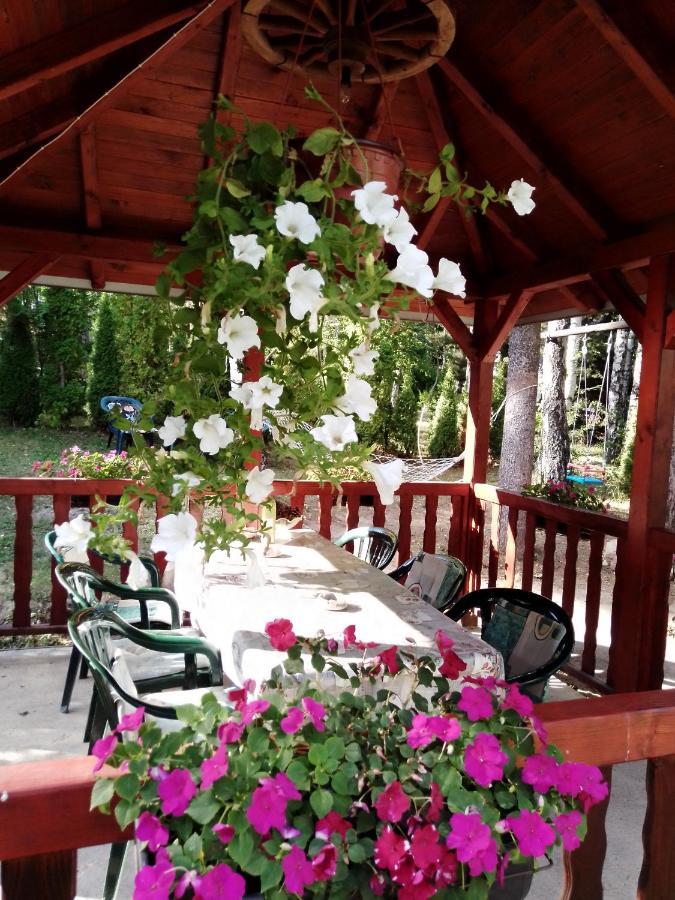 Eho Zlatibor