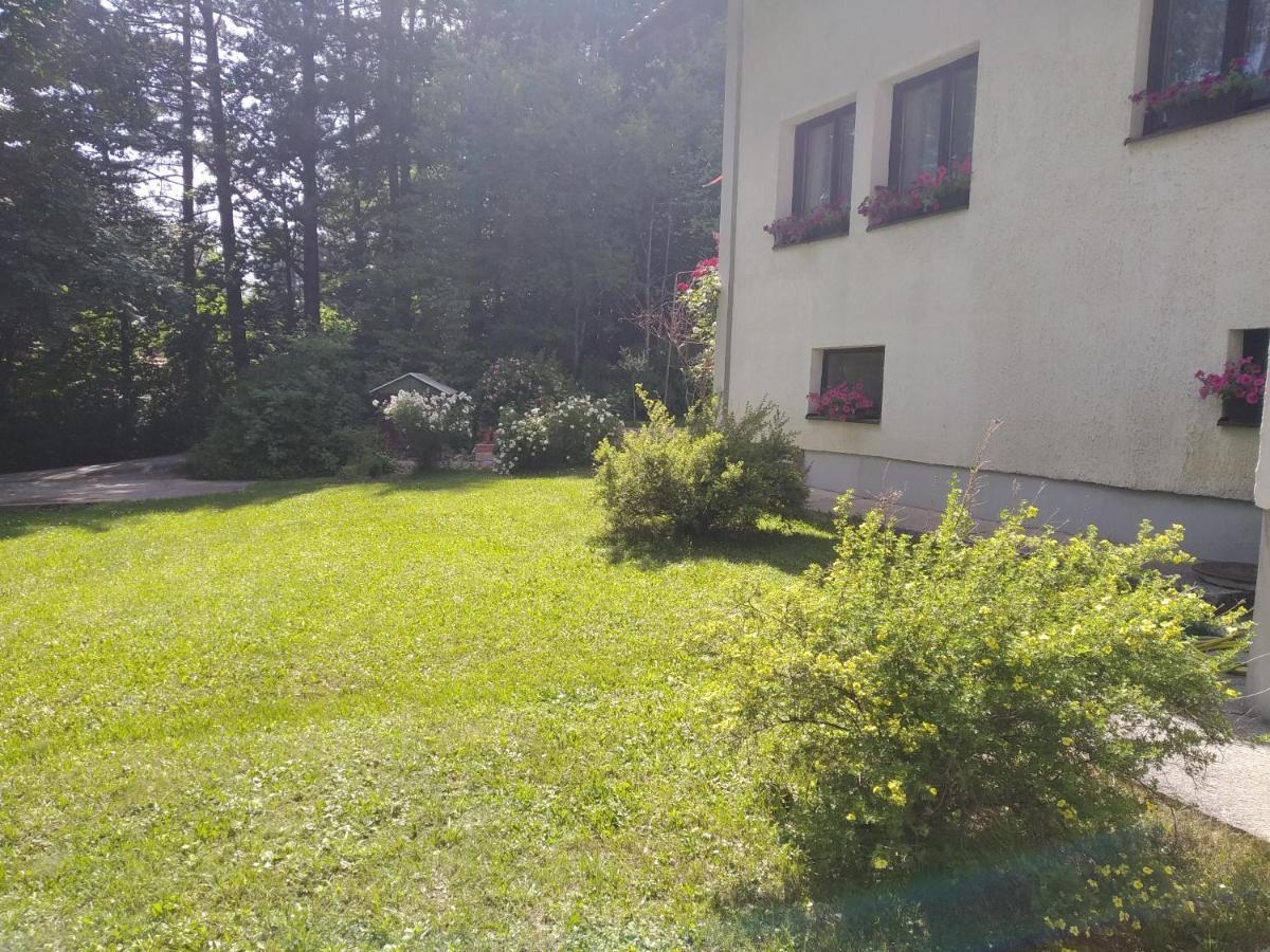Eho Zlatibor