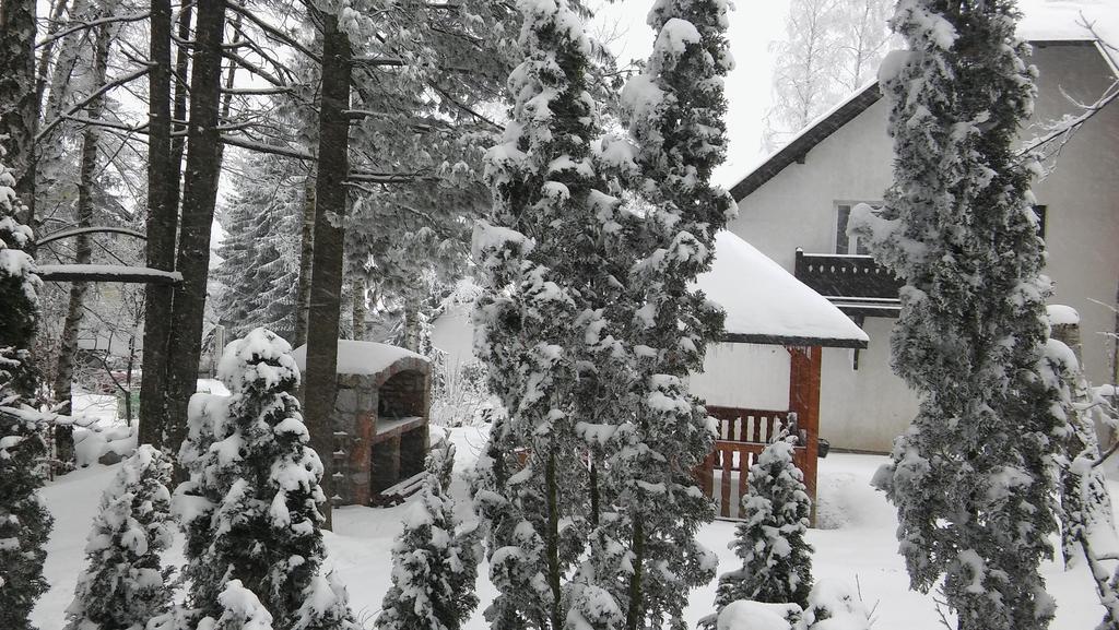 Apartment Eho Zlatibor