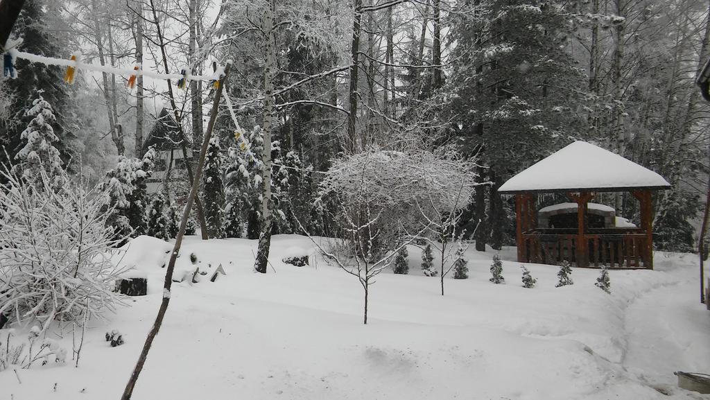 Eho Apartment Zlatibor